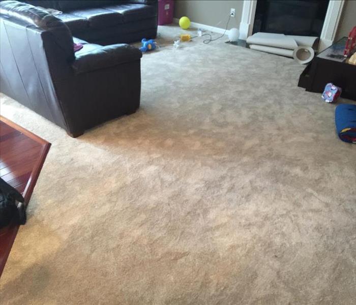 A clear, spotless white carpet after being restored.