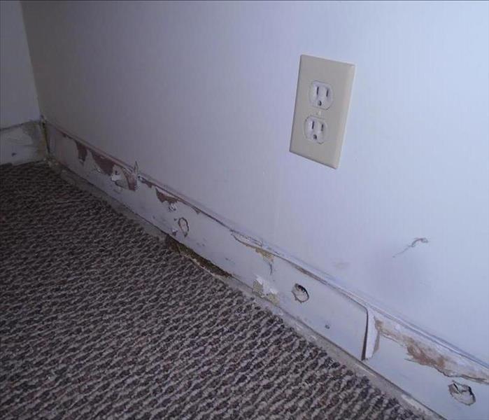 Water damage along the edge of the carpet and wall.