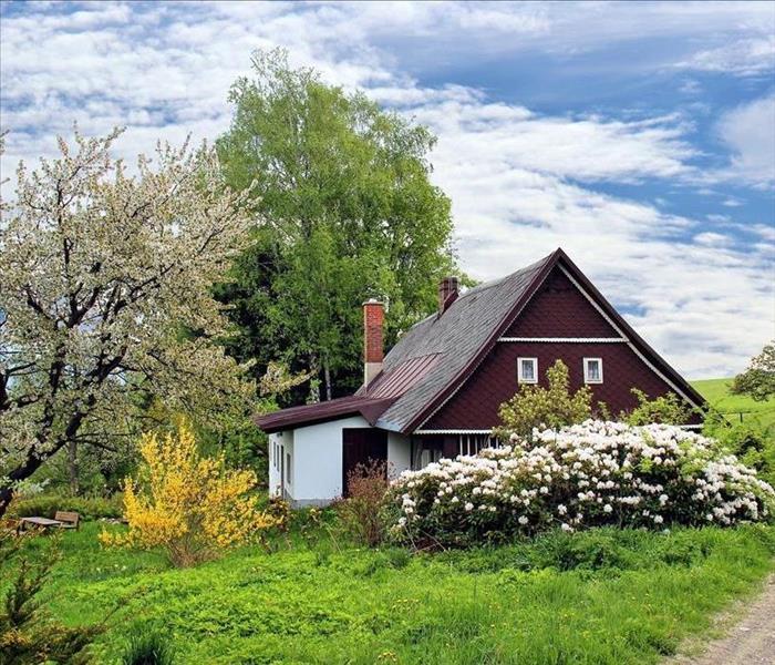 A cottage in the spring, plants blooming all around it, the blue sky behind.